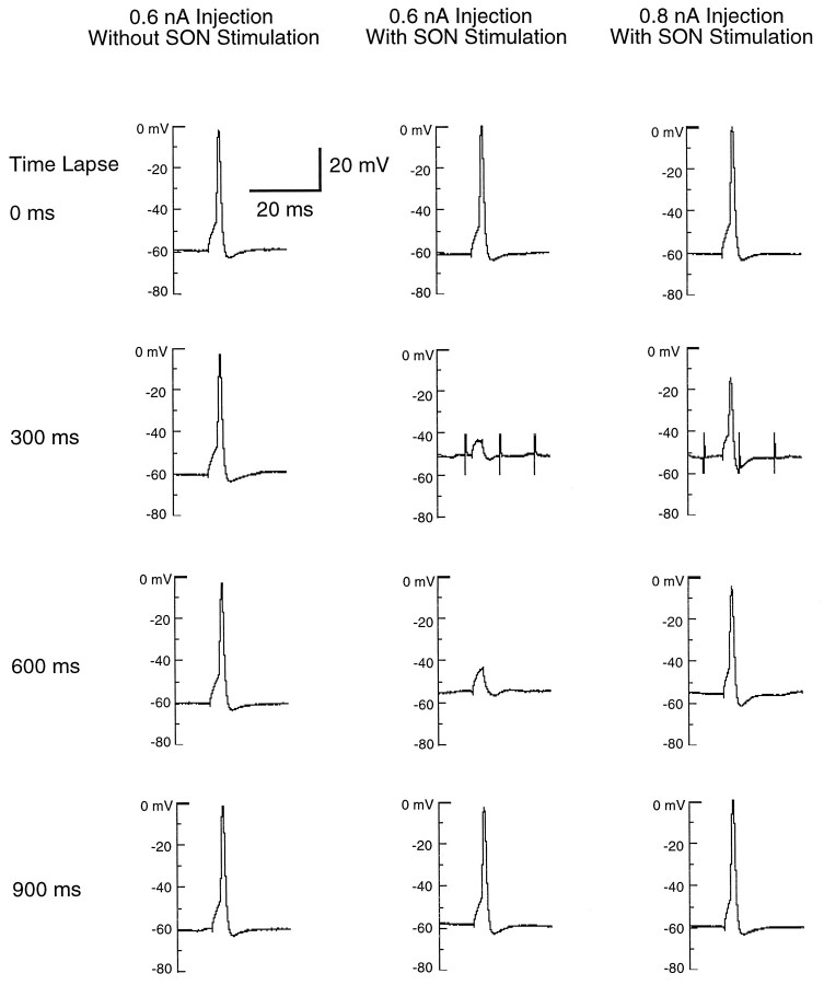 Fig. 8.