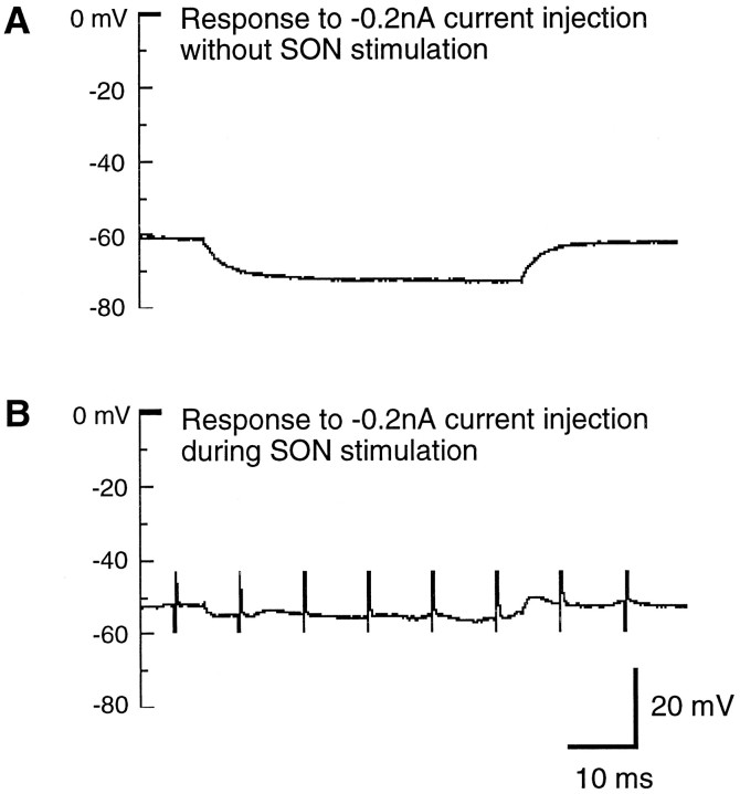 Fig. 9.