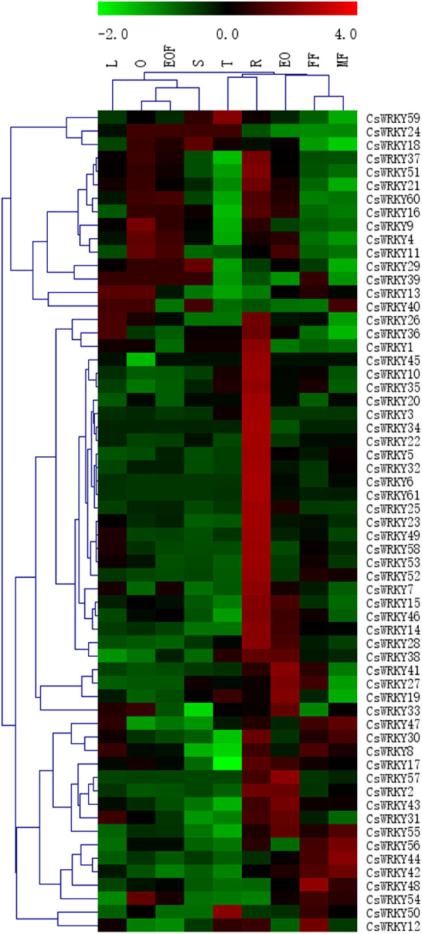 Fig. 7