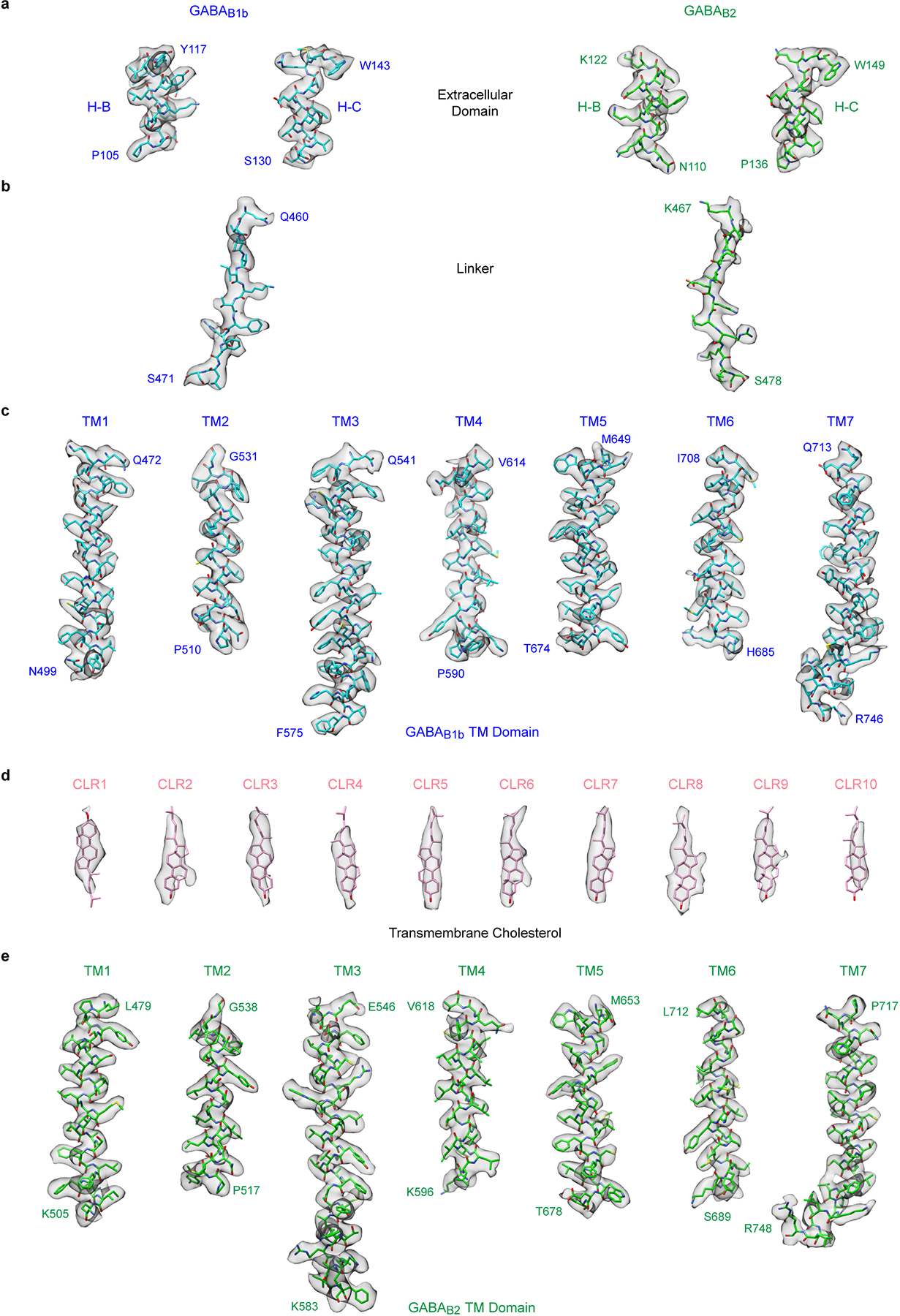 Extended Data Fig. 3 |