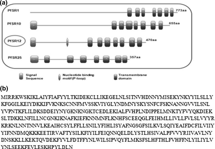 Fig. 1