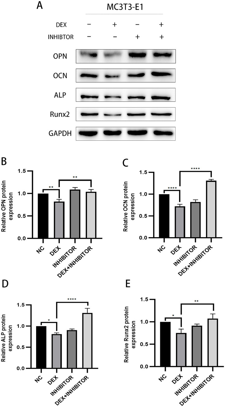 Fig 9