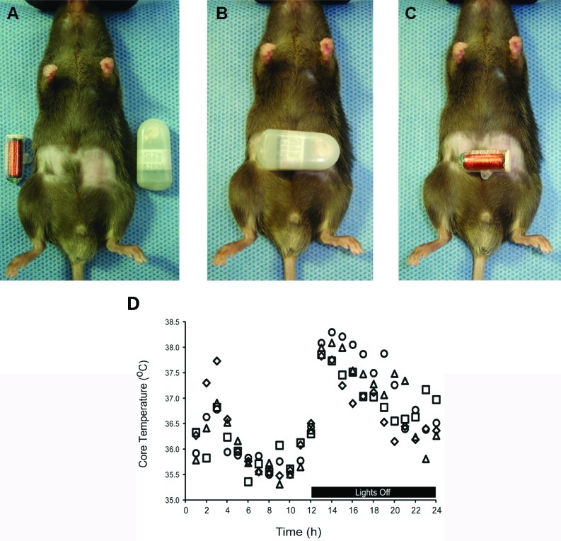 Figure 2.