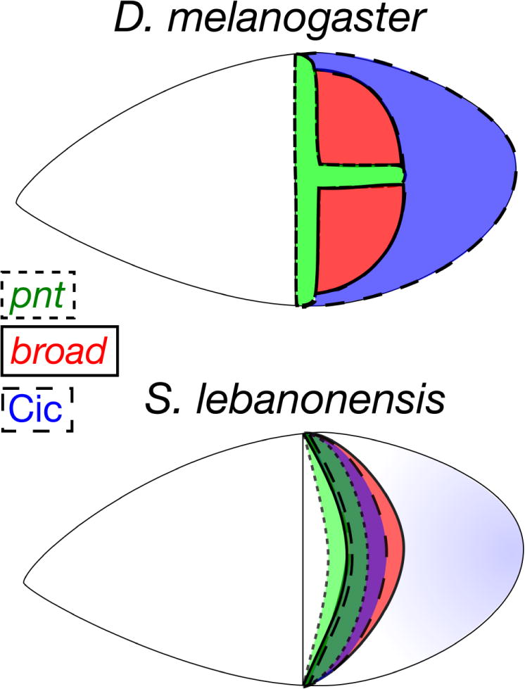 Fig. 10