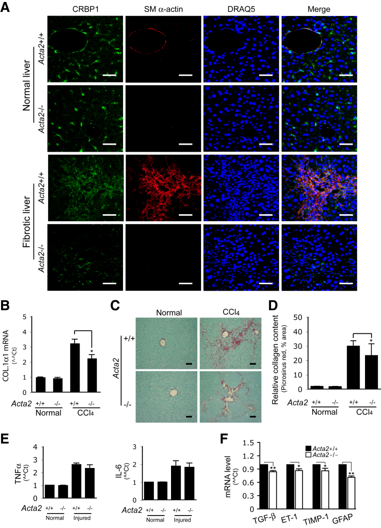 Figure 6