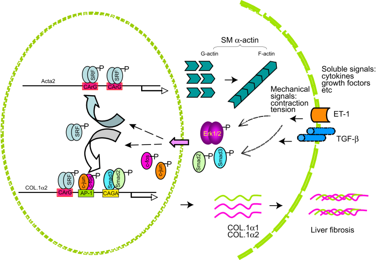 Figure 7