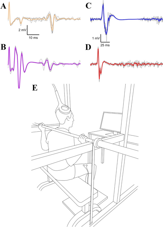 Fig. 2