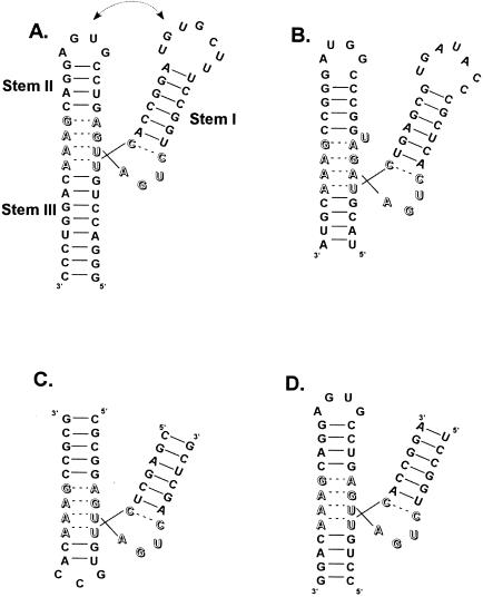 FIGURE 1.