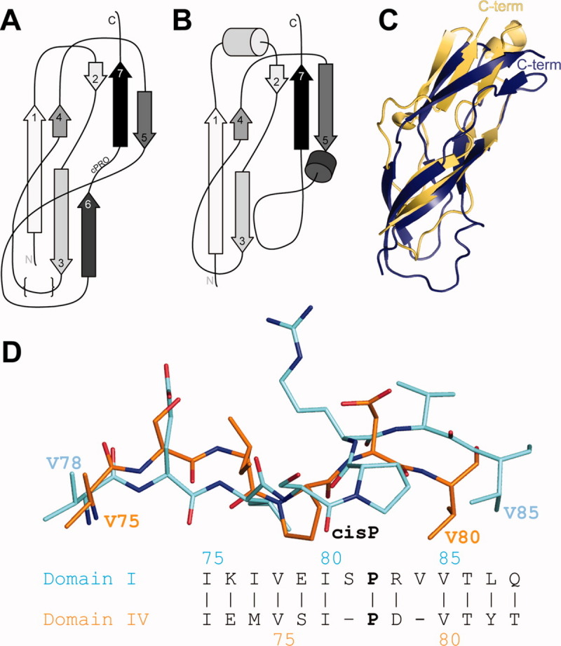 Figure. 2