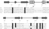 Figure. 4