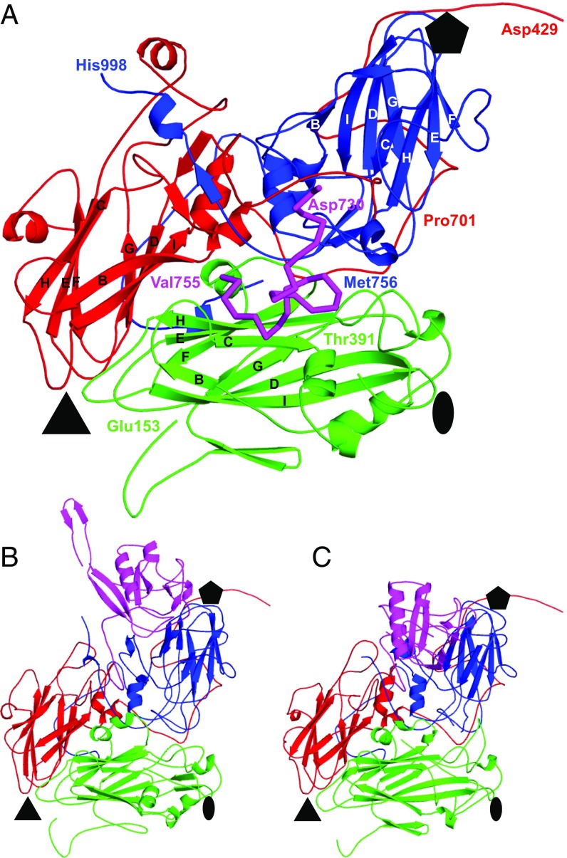 Fig. 3.