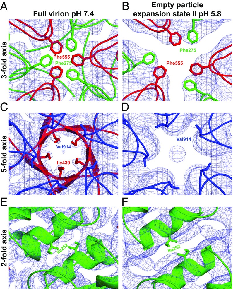 Fig. 6.