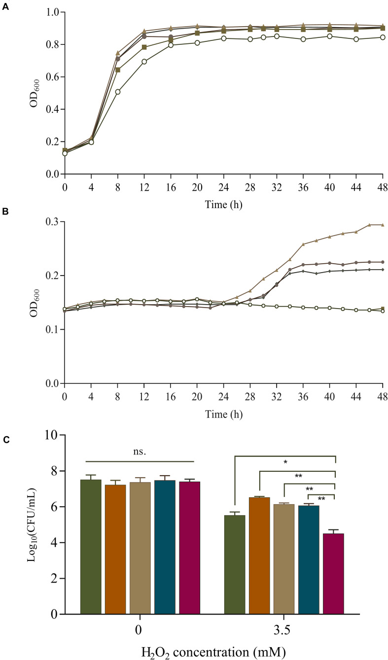 FIGURE 4