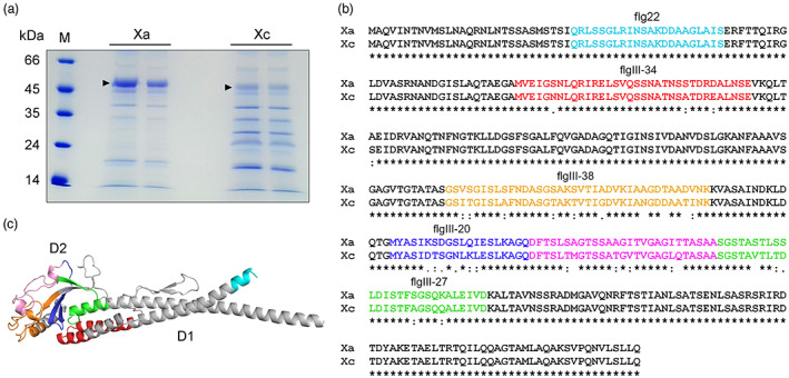 FIGURE 3