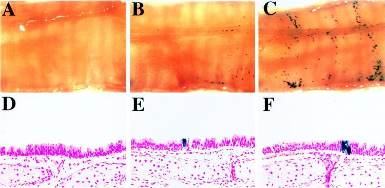 FIG. 10