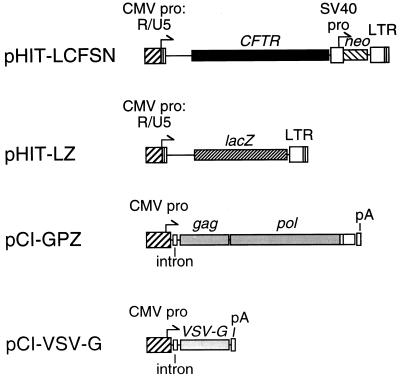 FIG. 1