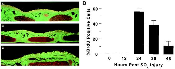 FIG. 7