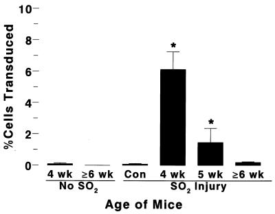 FIG. 11