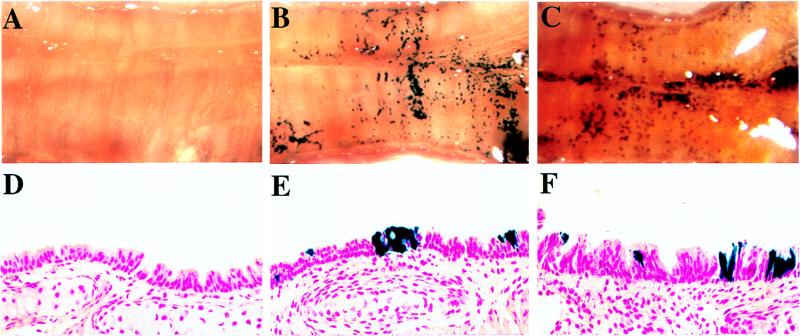 FIG. 9