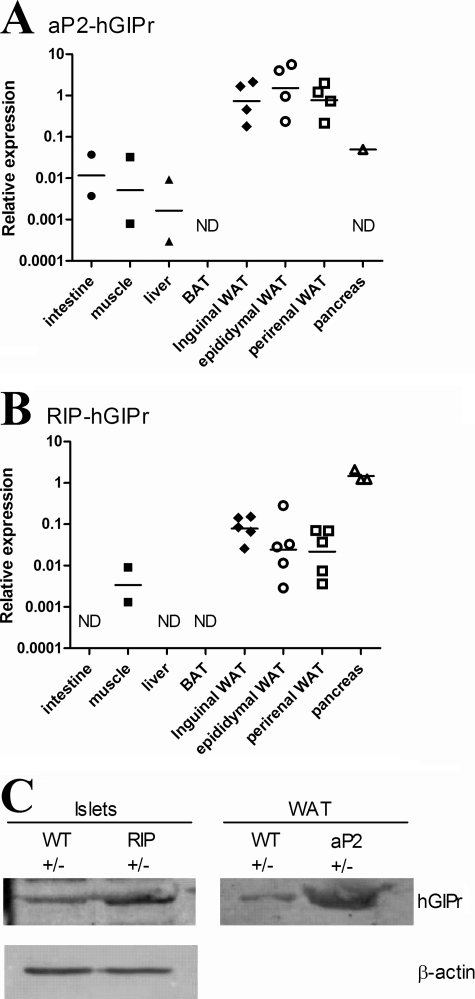 FIGURE 1.