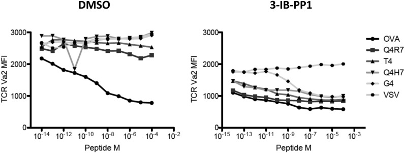 Figure 4—figure supplement 1.