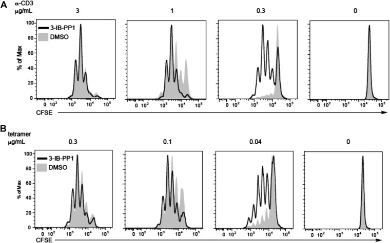 Figure 2—figure supplement 1.