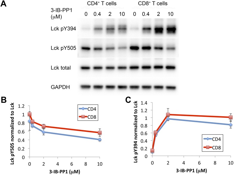 Figure 3—figure supplement 1.