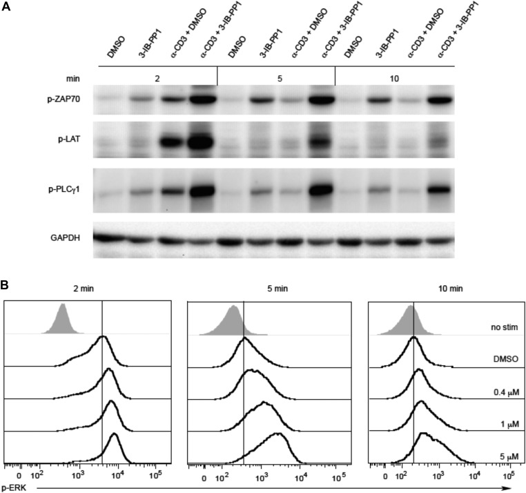 Figure 1—figure supplement 1.