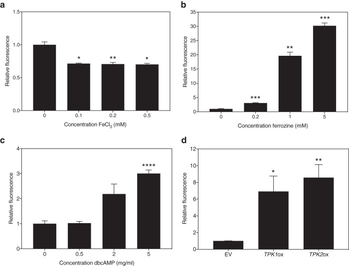 FIG 3