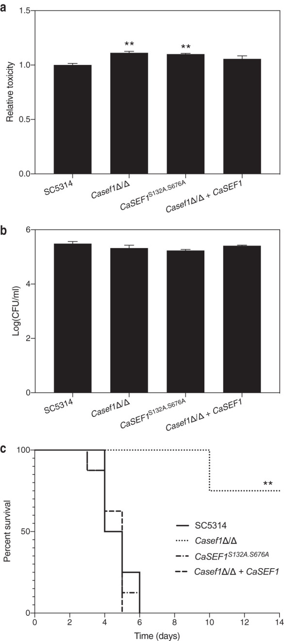 FIG 6