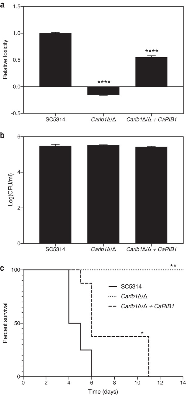 FIG 2