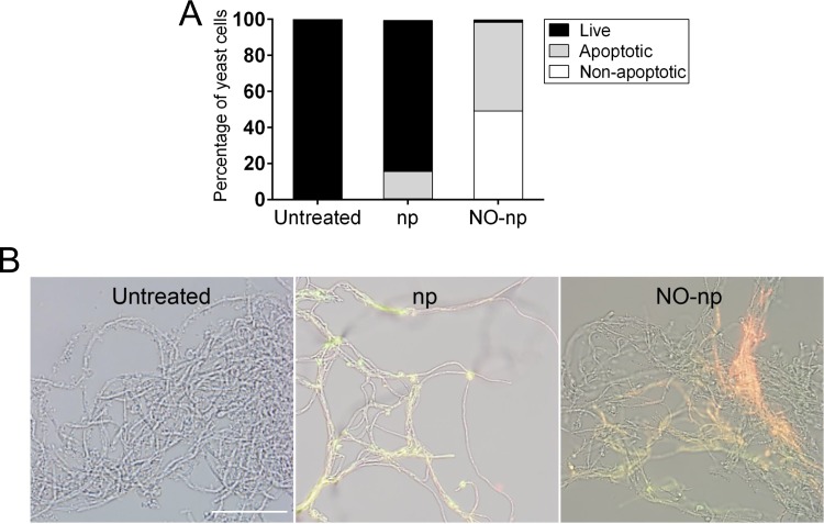 FIG 3