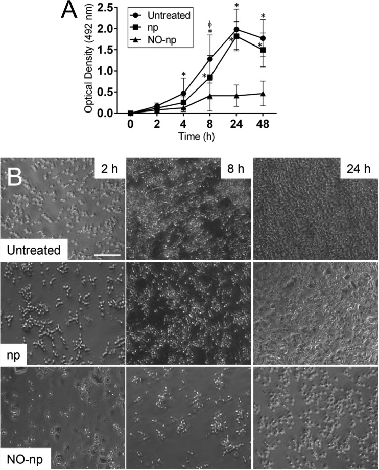 FIG 1