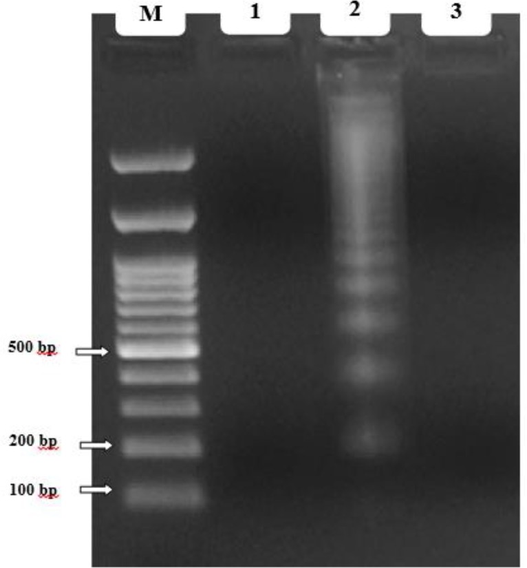 Fig. 5: