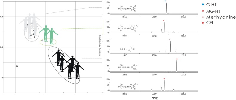 Fig. 7