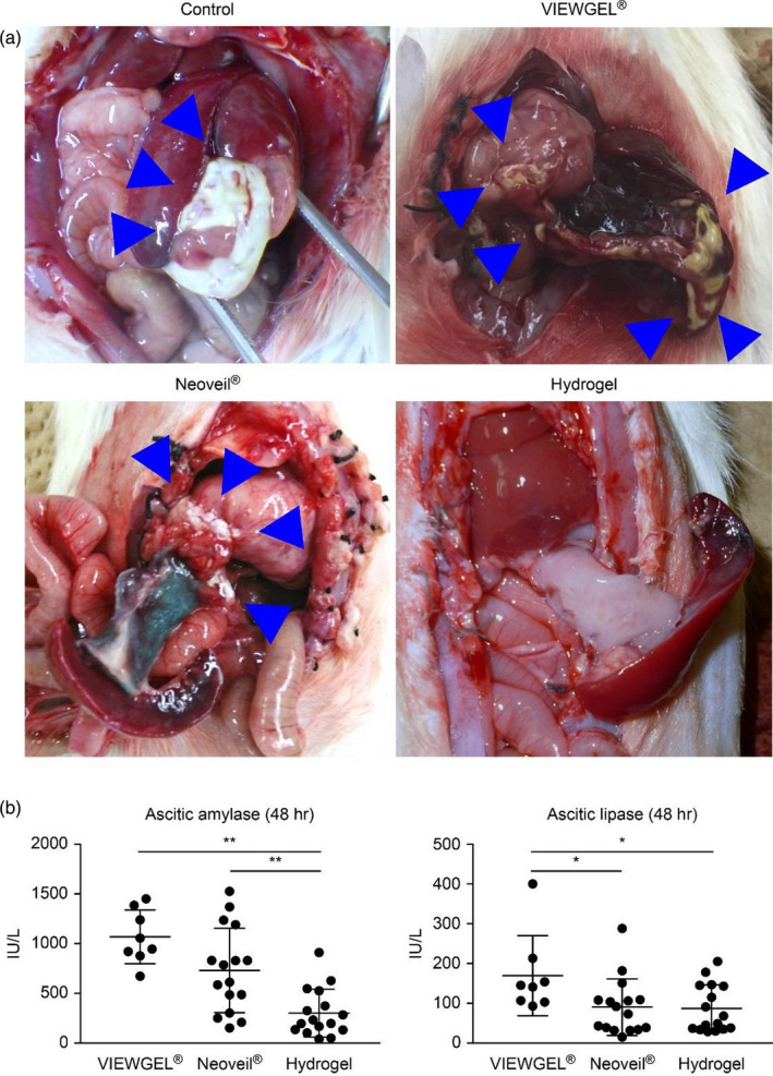 FIGURE 3