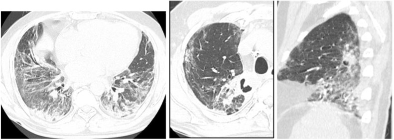 Fig. 8