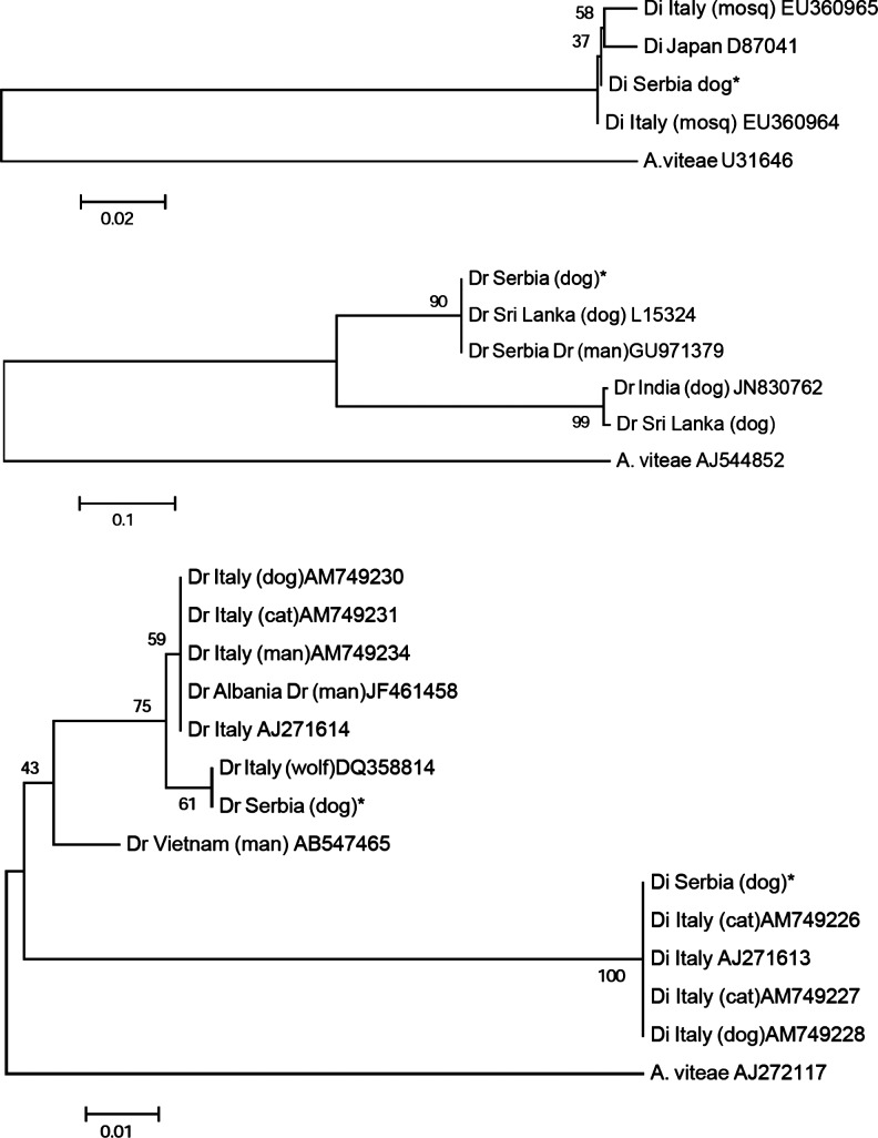 FIG. 2.