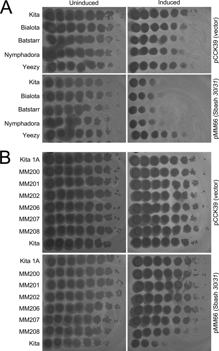 FIG 8