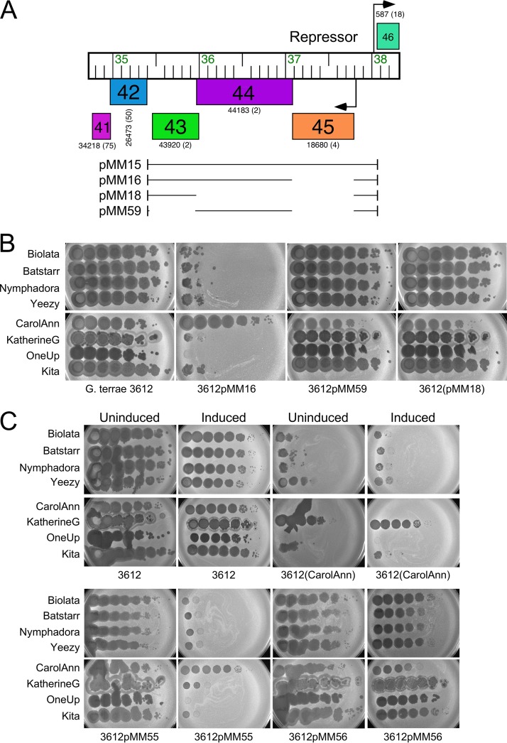 FIG 4