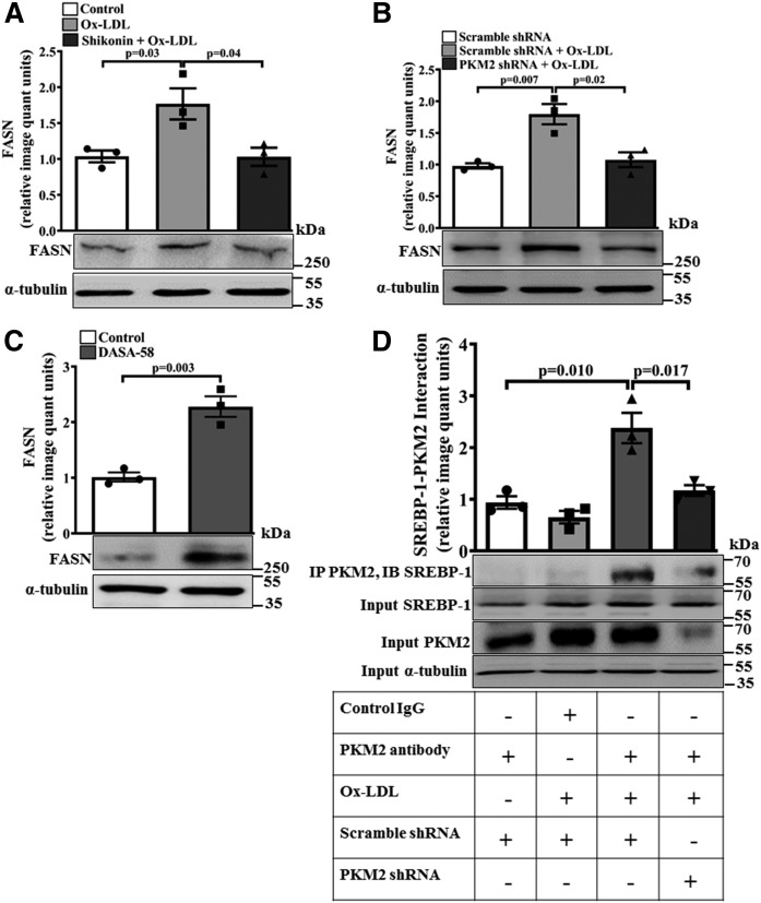 Fig. 8.