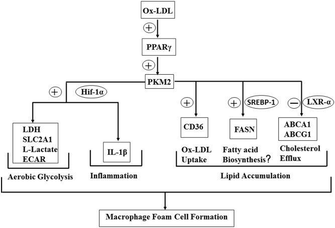 Fig. 9.