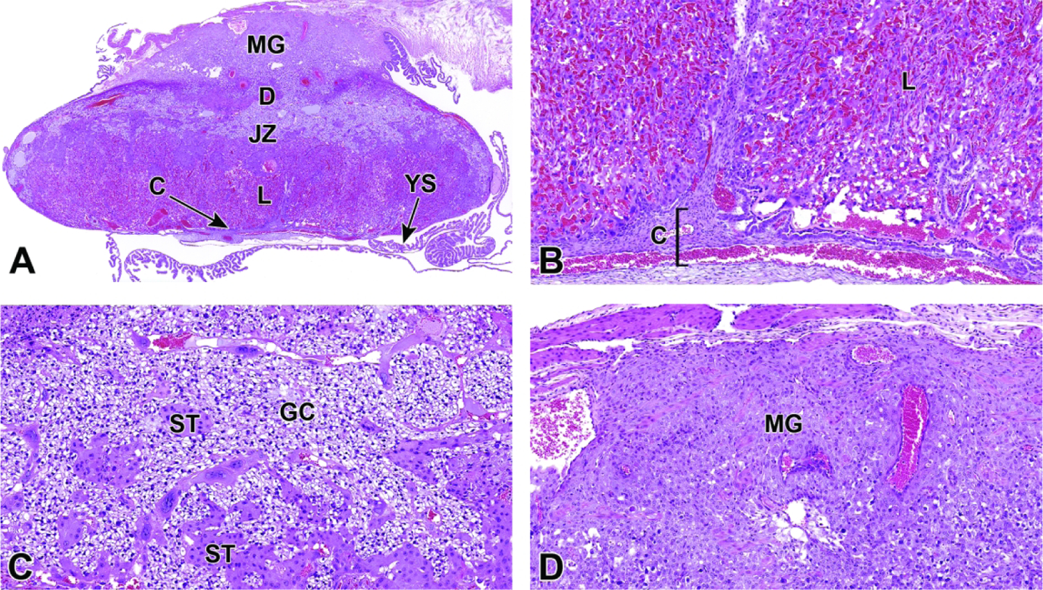 Figure 34.