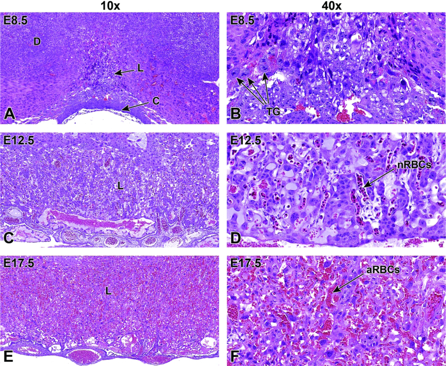 Figure 32.