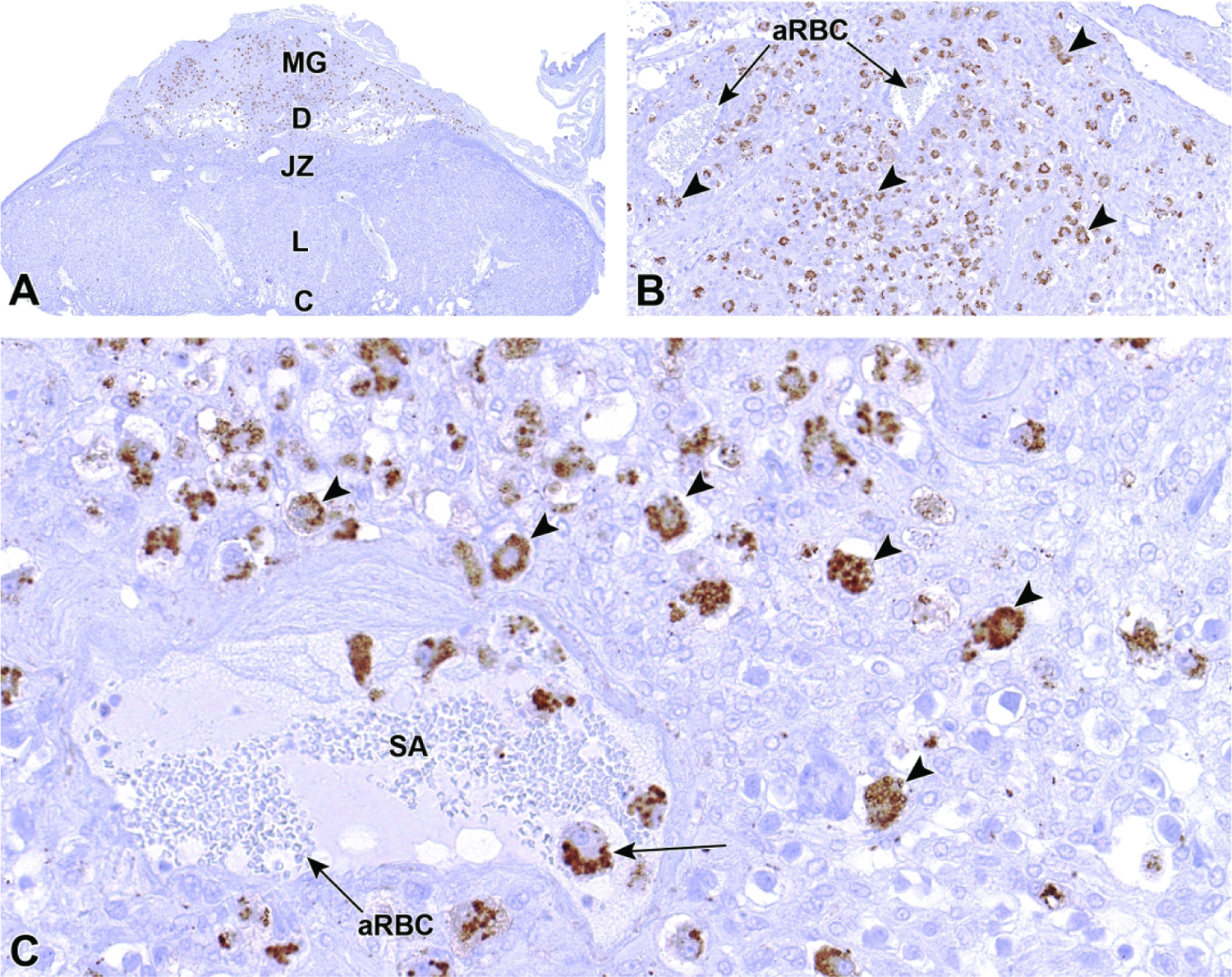 Figure 39.