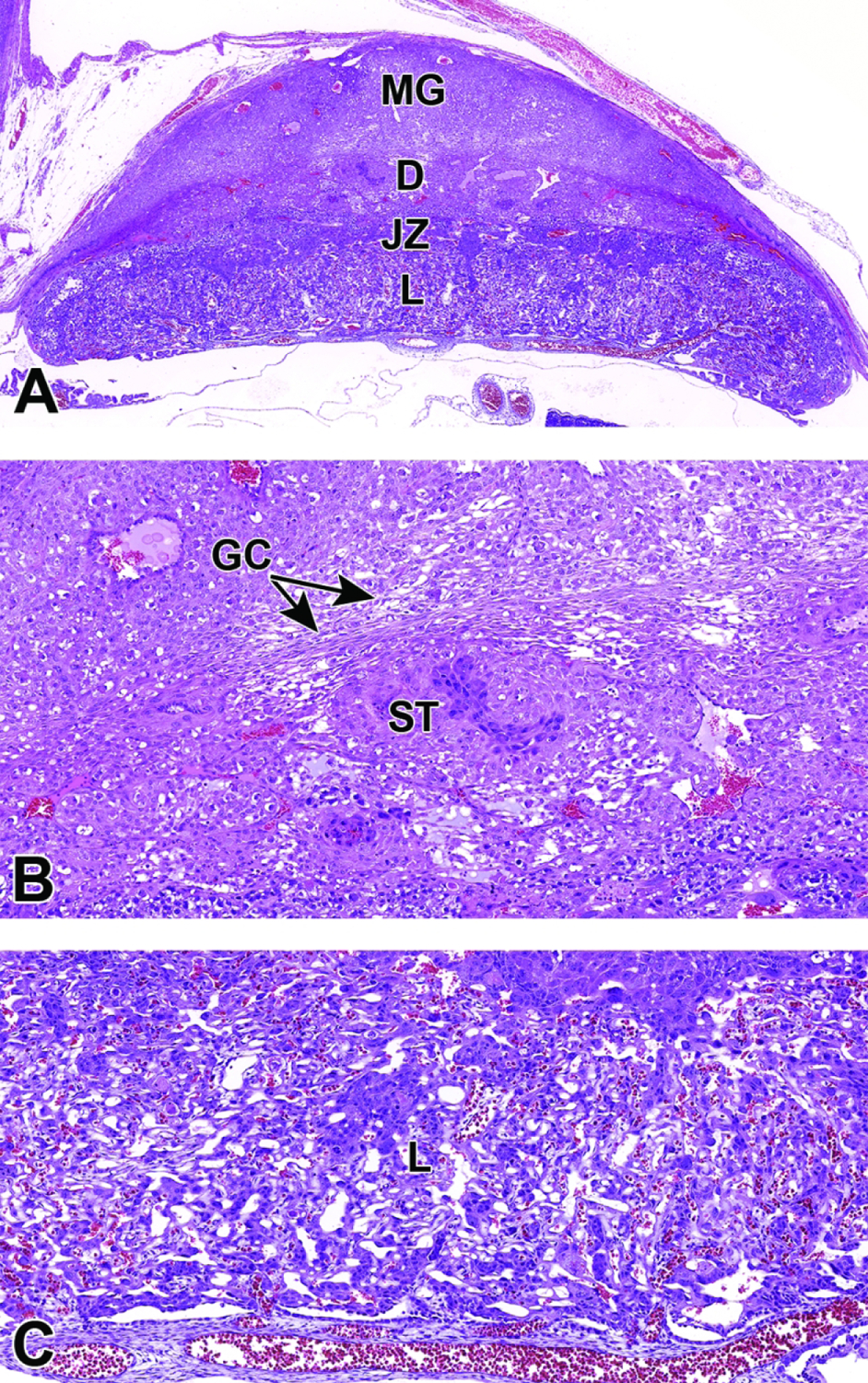 Figure 26.