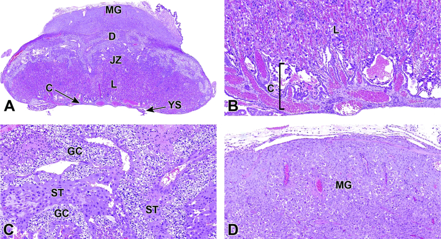 Figure 31.