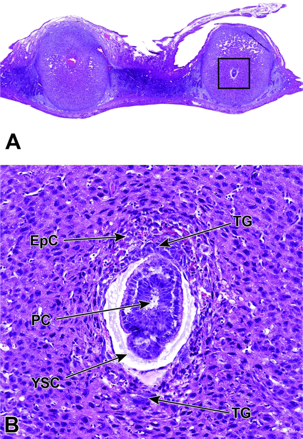 Figure 19.