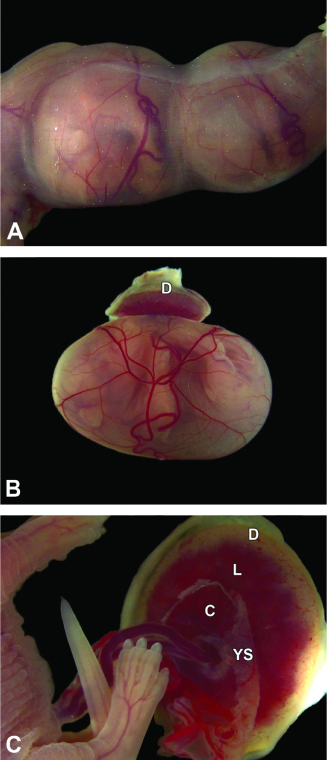 Figure 15.