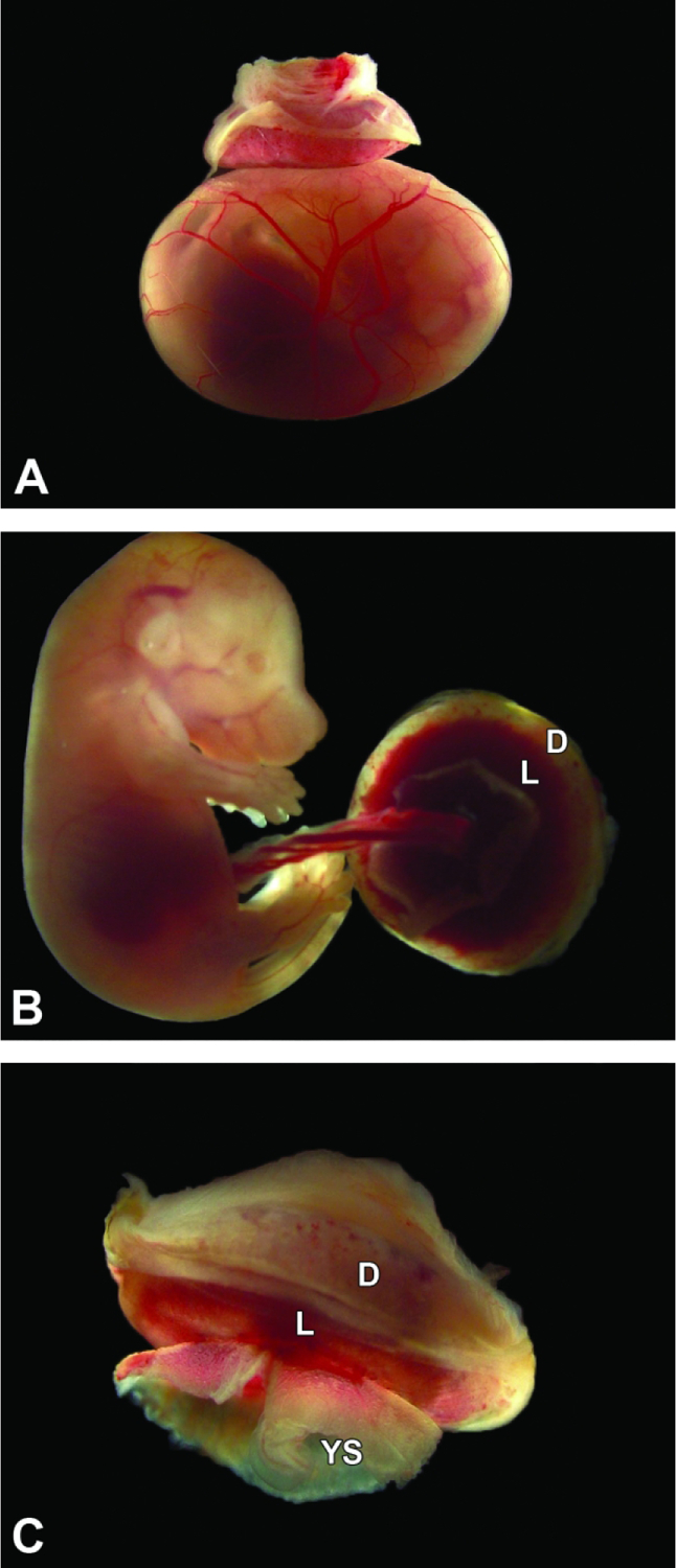 Figure 14.